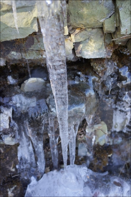 2017년 1월 14일 자굴산 둘레길 대표 이미지